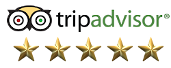 Mission Manor TripAdvisor reviews